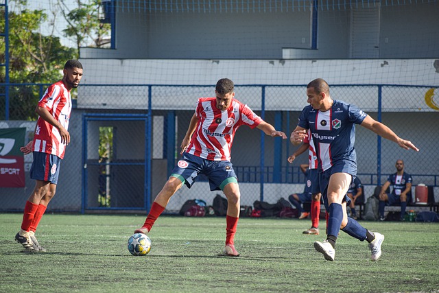 和谐美好的 和谐美好的