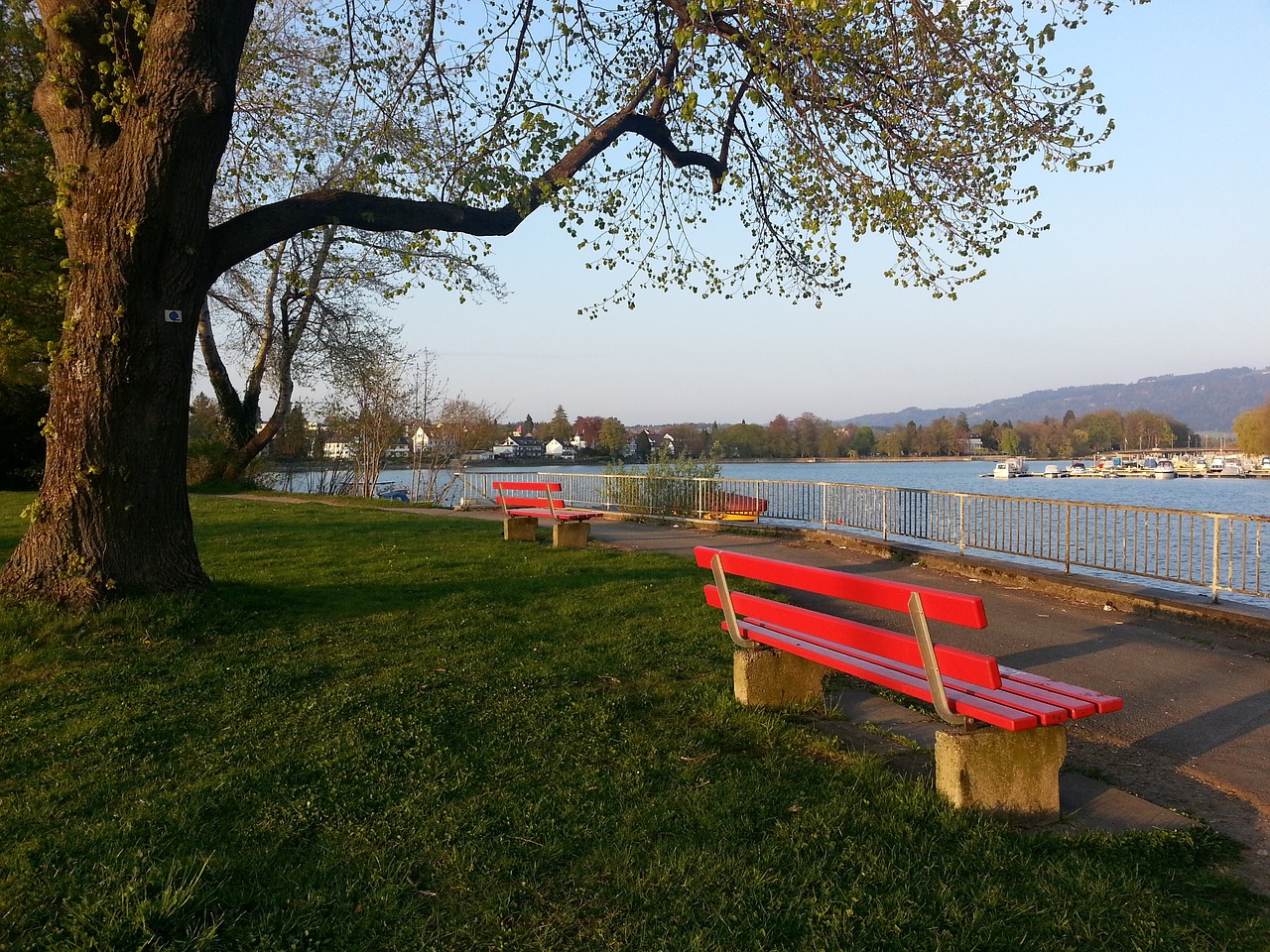 的企业形成 的企业形成